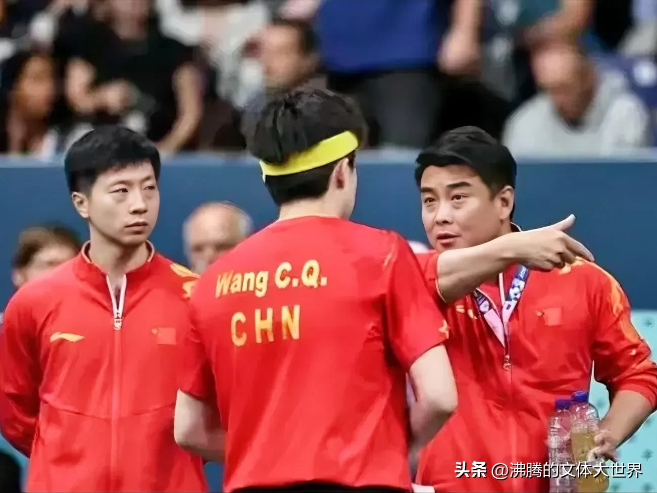 日本队力克德国队,王皓点燃赛场 日本队力克德国队,王皓点燃赛场